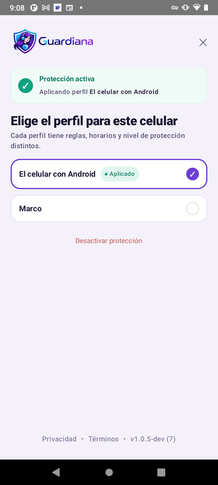 Pantalla final de la app con la protección activa y el perfil aplicado.