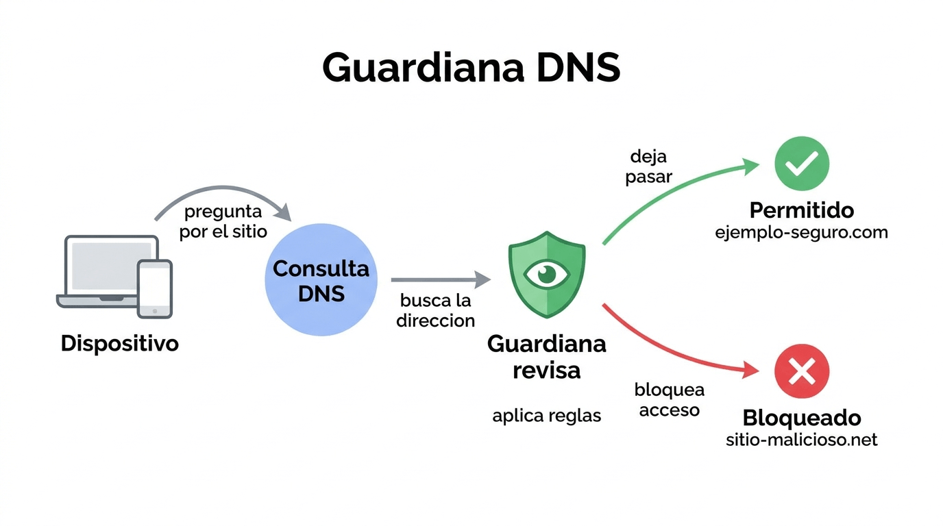 Diagrama de flujo que muestra cómo un dispositivo hace una consulta DNS, Guardiana la revisa y luego permite o bloquea el acceso al sitio